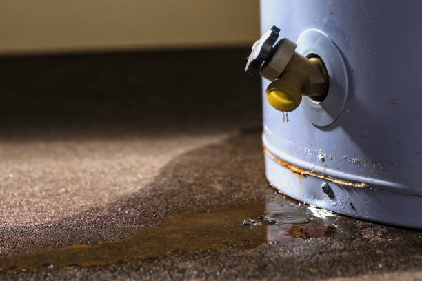 Best Water damage cleanup near me  in Montezuma, GA