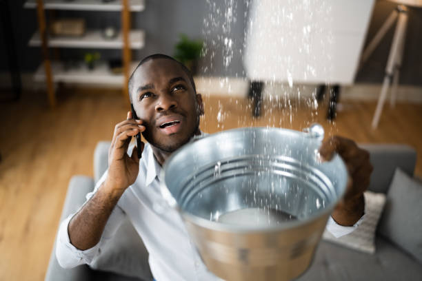 Best Carpet water damage restoration  in Montezuma, GA