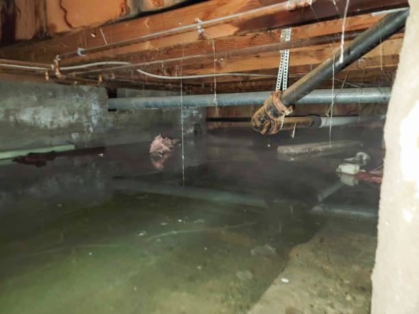  Montezuma, GA Water damage restoration Pros
