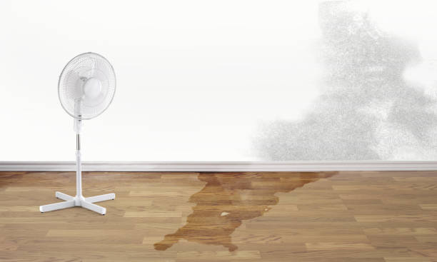 Best Flood restoration services  in Montezuma, GA