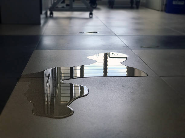 Best Water damage restoration process  in Montezuma, GA