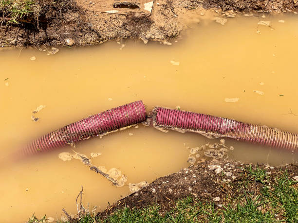 Best Flood damage cleanup  in Montezuma, GA