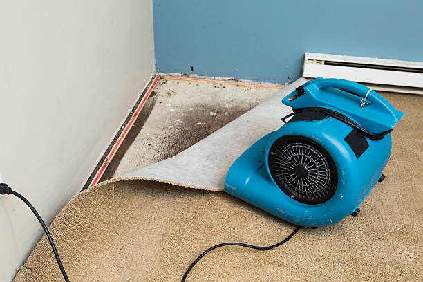 Best Ceiling water damage repair  in Montezuma, GA